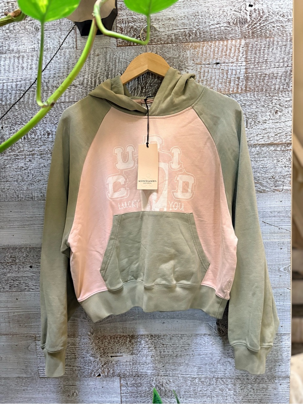 Scotch & Soda | NWT "Cupid" Colorblock Pullover Hoodie - Women M, Pink/Green